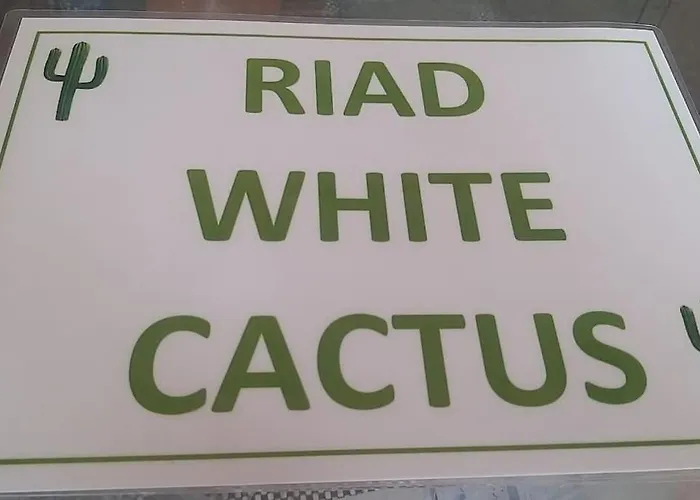 Riad White Cactus