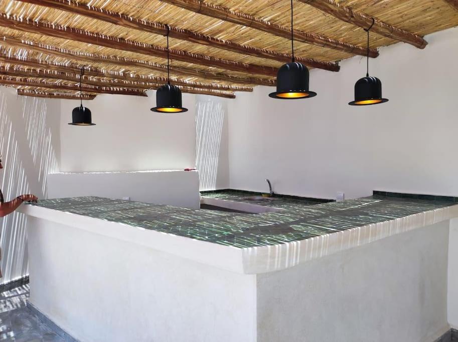 Villa White Cactus *